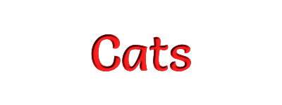 cats banner